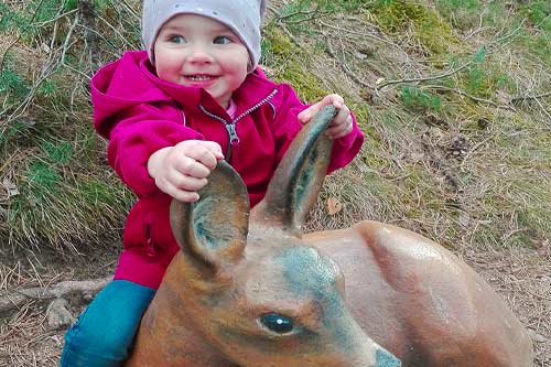Waldtierpfad Gumperle