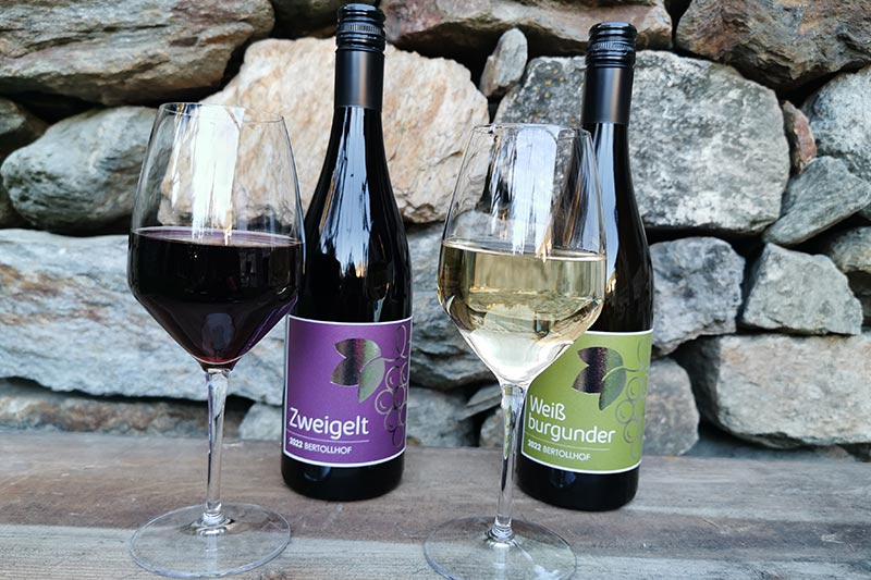 Zweigelt und Weißburgunder vom Bertollhof