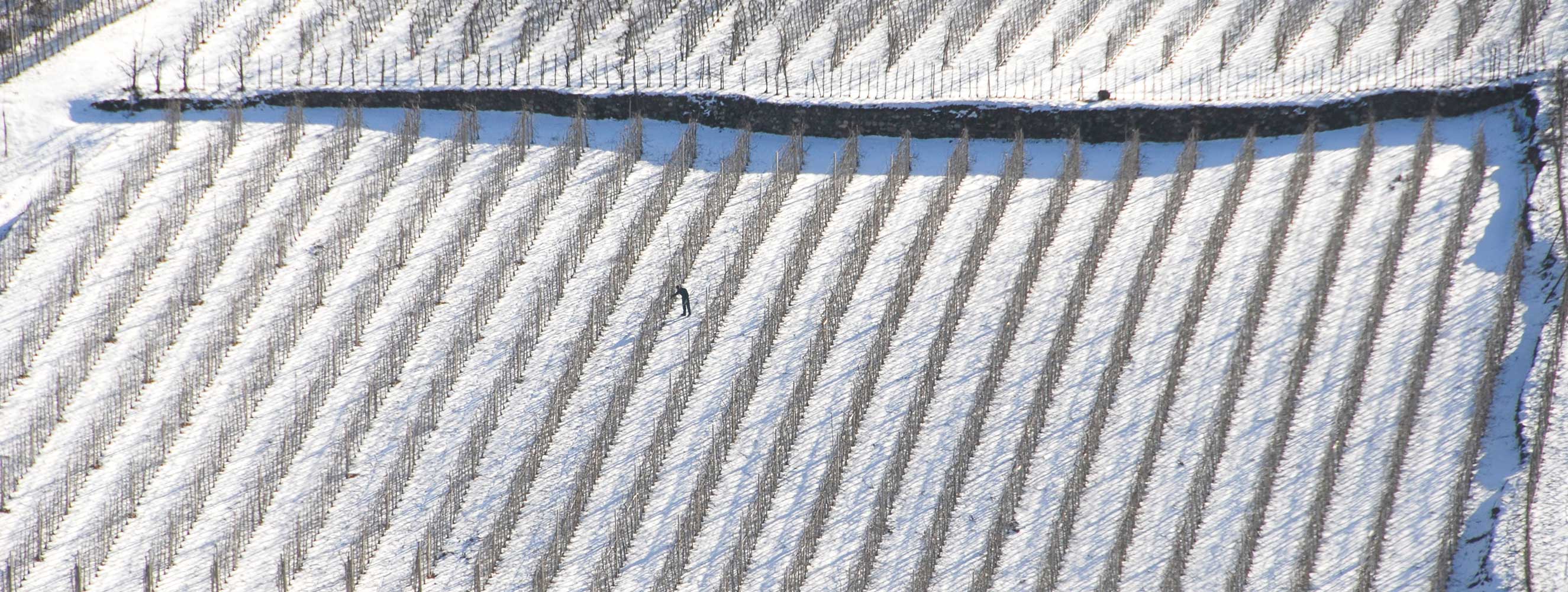 Jahresablauf am Bertollhof